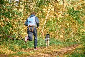 Canicross cross country running with dog, musher running with Siberian Husky dog, sled dog racing photo