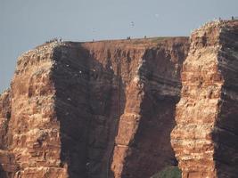 the island of Helgoland photo