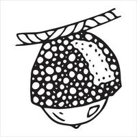 Vector hand drawn acorn illustration. Autumn botany sketch.