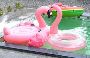 colorful pool float, pink ring floating on the swimming pool, pool rubber ring flamingo photo