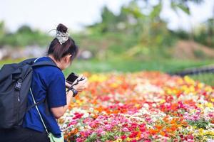 photographer taking photo and shooting flower bloom in the garden - photographer woman with camera