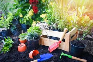 Gardening tools on soil background ready to planting flowers and small plant in the spring garden works concept gardening flower pots in sunny at back yard photo