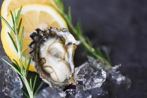 Close up open oyster shell with herb spices lemon rosemary served table and ice healthy sea food raw oyster dinner in the restaurant gourmet food - Fresh oysters seafood on black plate background photo