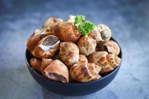 Babylonia areolata shellfish seafood on bowl ready for eat or cooked - Spotted babylon Sea shell limpet photo