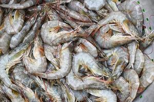 raw shrimps on washing shrimp on bowl shrimps background , fresh shrimp prawns for cooking seafood food in the kitchen photo