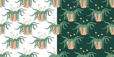 Spider plant houseplants seamless patterns on white and green. Hand drawn flat vector illustration. Potted plants in garden. Great for fabrics, wrapping papers, wallpapers,