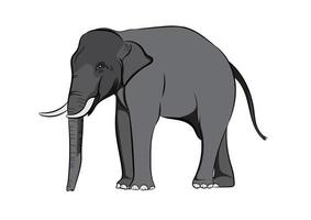 graphics drawing elephant Asia isolated white background vector illustration