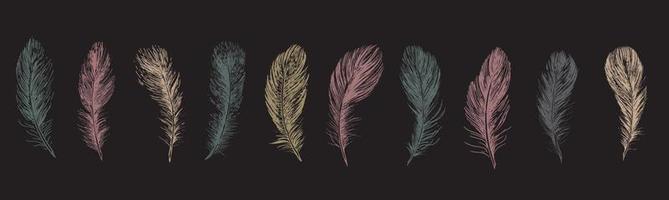 Feathers, Hand drawn style sketch illustrations. vector