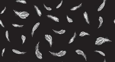 Feathers, Hand drawn style sketch illustrations. vector