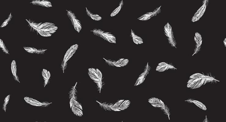 Feathers, Hand drawn style sketch illustrations.