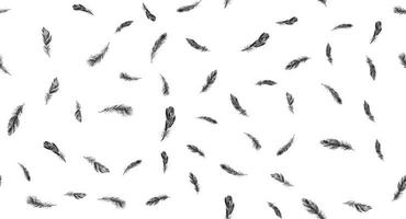 Feathers on white background. Hand drawn sketch style. Vector. vector