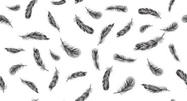 Feathers on white background. Hand drawn sketch style. Vector. vector