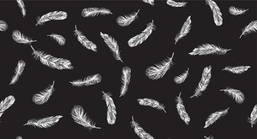 Feathers, Hand drawn style sketch illustrations. vector