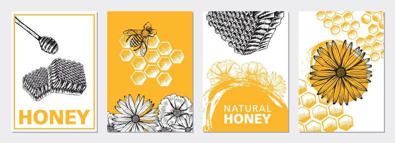 Honey set. Hand drawn illustration.