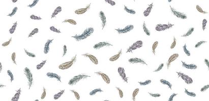 Feathers, Hand drawn style sketch illustrations. vector