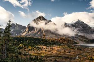 Rocky mountains with fog and blue sky on autumn forest at Assiniboine provincial park photo