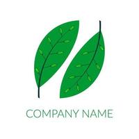 vector of nature twin leaf emblem logo.