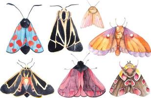 butterfly moths painted with watercolors 13 vector