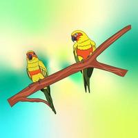 graphics drawing Sun Conure Parrots on a branch of the tree vector illustration for background