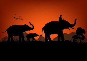 silhouette image Black elephant with Elephant mahout walking at the forest with mountain and sunset background Evening light vector Illustration