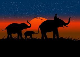 silhouette image Black elephant with Elephant mahout walking at the forest with mountain and sunset background Evening light vector Illustration