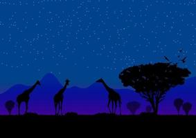 giraffe stan on the grass at the forest with moon background at night time graphics design vector illustration