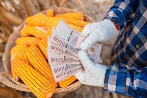 Corn growers hold Thai bank notes. The concept of the profit from the trade behind is corn and corn fields. photo