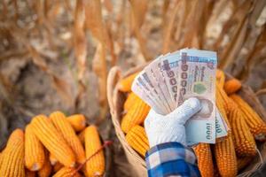 Corn farmers hold Thai bank notes worth 5,000 baht that people receive from the government. photo