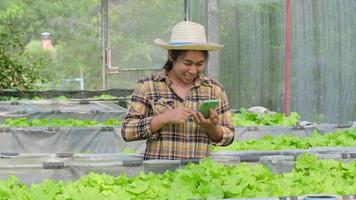 asiatische gärtnerin, die mit glück online-bestellungen in der nähe von jungen salatbaumschulen auf einem biobauernhof entgegennimmt. Bäuerin mit Handy in Bio-Gemüsefarm. Gewerbe- und Bauernmarkt. video