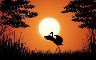 Birds silhouette on red sunset nature background