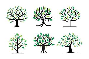 Tree logo icon template design. Round garden plant natural line symbol. Green branch with leaves business sign. Vector illustration. Emblem logo.