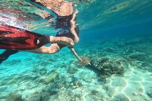 bucear con una tortuga marina en gili trawangan, lombok, indonesia foto