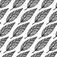 Leaves seamless vector pattern. Botanical element with veins on the stem. Monochrome sketch of a garden plant. Avocado tree leaf outline. Hand drawn illustration isolated on white background