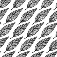 Leaves seamless vector pattern. Botanical element with veins on the stem. Monochrome sketch of a garden plant. Avocado tree leaf outline. Hand drawn illustration isolated on white background