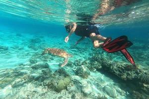 bucear con una tortuga marina en gili trawangan, lombok, indonesia foto