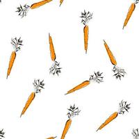 Seamless pattern illustration carrot on white color background vector