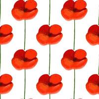 Seamless pattern with Poppy flower illustration on white background vector