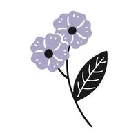 A pair of flowers with five petals in a doodle style. Vector isolated floral illustration.