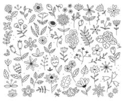 A large set of different flowers and plants in a simple linear doodle style. Vector isolated floral illustration.