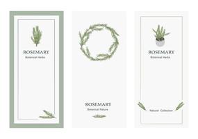 conjunto de banner de plantilla de invitación floral de romero vector