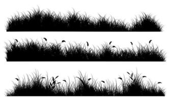 campo de hierba, hierba aislada vector