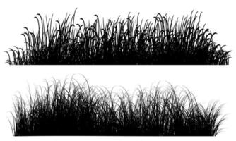 tall grass vector, meadow vector