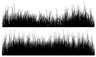 tall grass vector, meadow vector