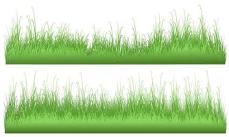 vector de campo de hierba, campo de hierba