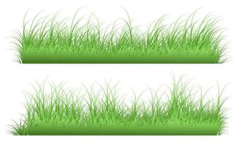 grass field vector, grassy field vector