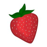 Red strawberry vegan berry vector flat isolated illustration