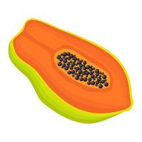 Exotic papaya vegan fruit vector flat isolated illustration