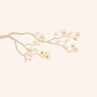 Branch soft brown flower isolated on white background. vector