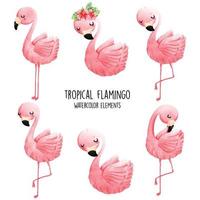 Ilustración de vector de flamenco