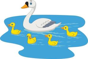 Cartoon swan family swimming in the pond vector